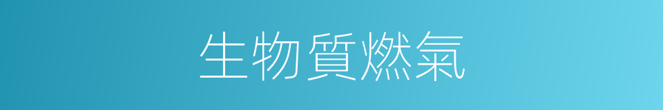 生物質燃氣的同義詞