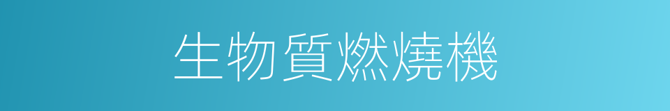 生物質燃燒機的同義詞