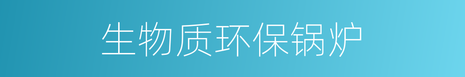 生物质环保锅炉的同义词