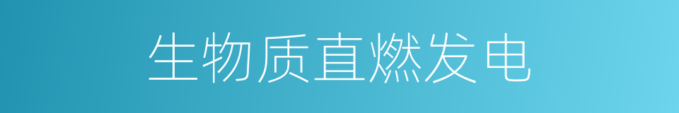 生物质直燃发电的同义词