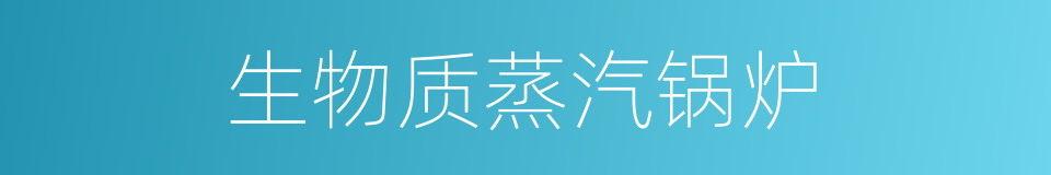 生物质蒸汽锅炉的同义词