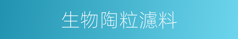 生物陶粒濾料的同義詞