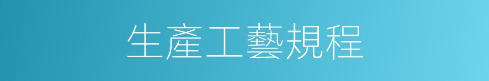 生產工藝規程的同義詞