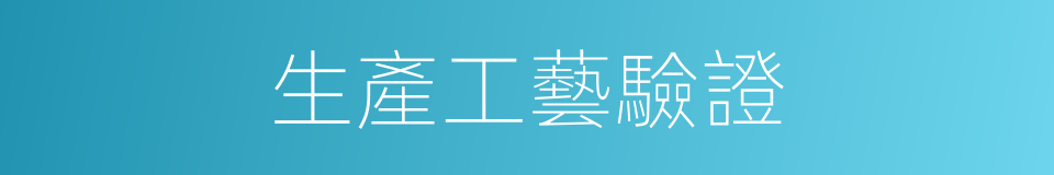 生產工藝驗證的同義詞