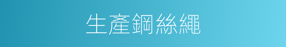 生產鋼絲繩的同義詞