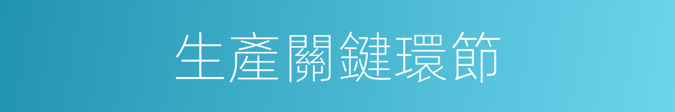 生產關鍵環節的同義詞