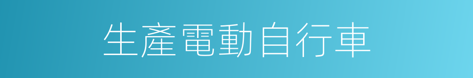 生產電動自行車的同義詞