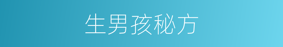 生男孩秘方的同义词