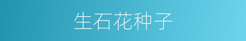 生石花种子的同义词