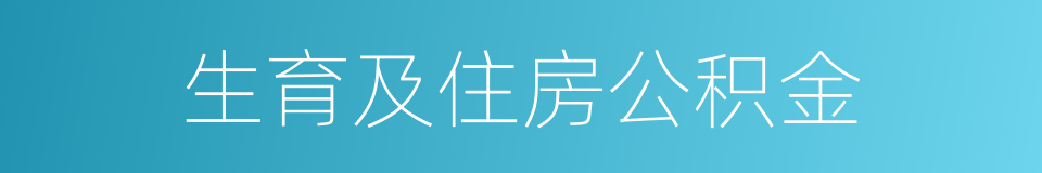生育及住房公积金的同义词