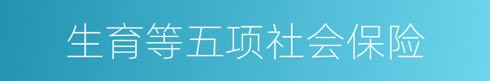 生育等五项社会保险的同义词