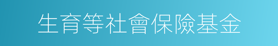 生育等社會保險基金的同義詞