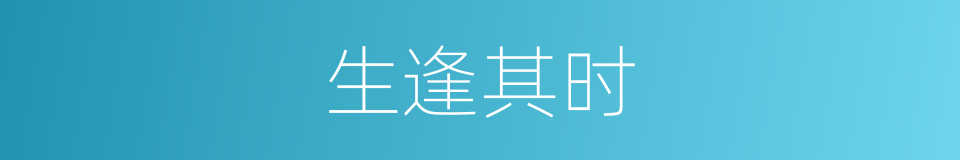 生逢其时的意思