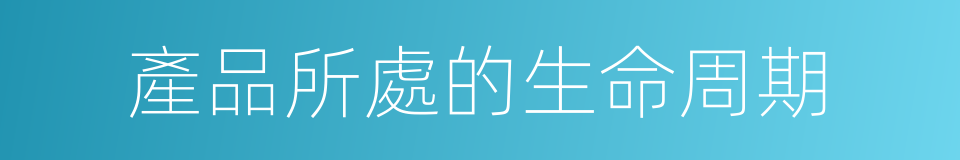 產品所處的生命周期的同義詞