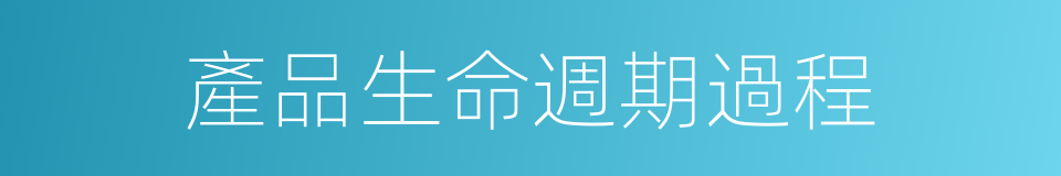 產品生命週期過程的同義詞