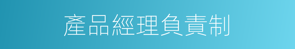 產品經理負責制的同義詞