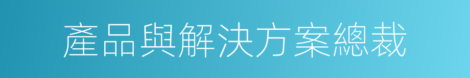 產品與解決方案總裁的同義詞