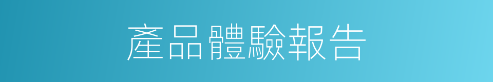產品體驗報告的同義詞