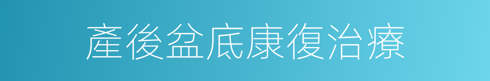 產後盆底康復治療的同義詞