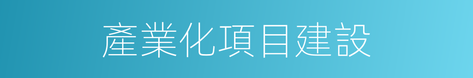 產業化項目建設的同義詞