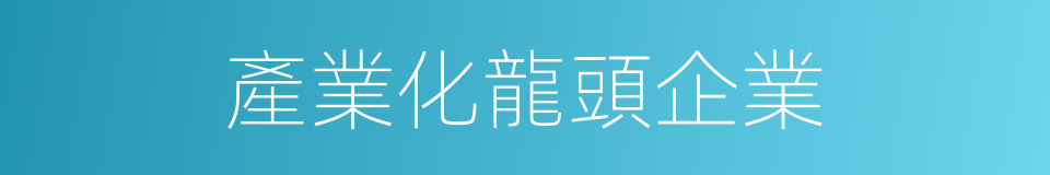 產業化龍頭企業的同義詞