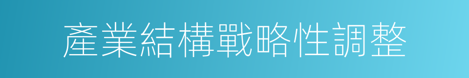 產業結構戰略性調整的同義詞