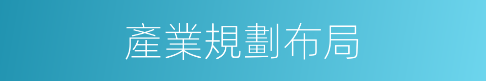 產業規劃布局的同義詞