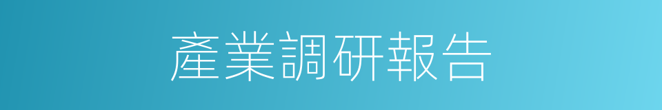 產業調研報告的同義詞
