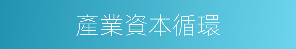 產業資本循環的同義詞