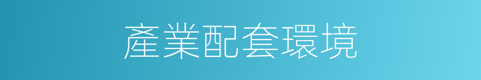 產業配套環境的同義詞