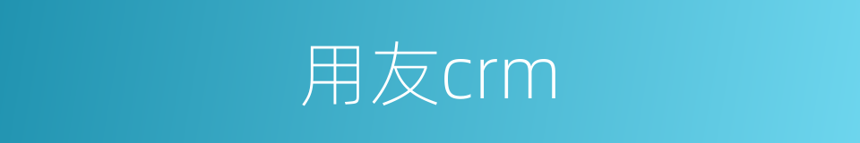 用友crm的同义词