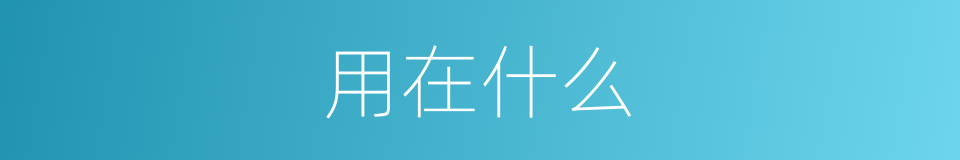 用在什么的意思