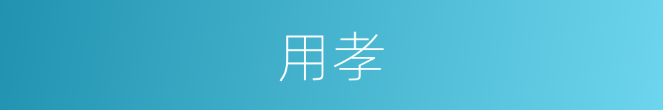 用孝的同义词