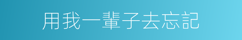 用我一輩子去忘記的同義詞