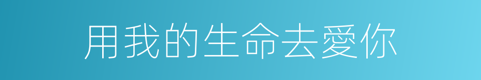 用我的生命去愛你的同義詞