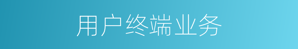 用户终端业务的同义词
