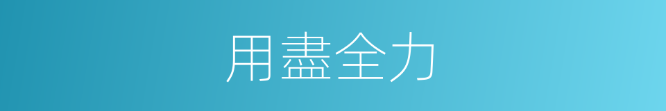 用盡全力的同義詞