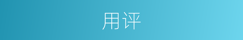 用评的同义词