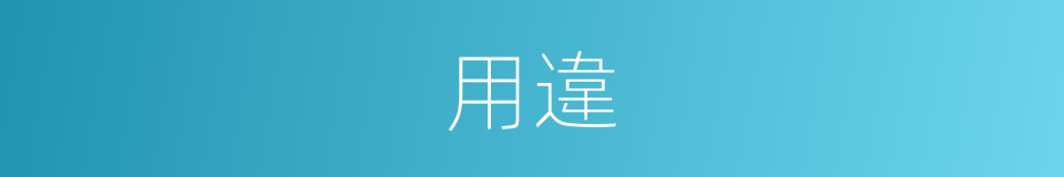 用違的同義詞
