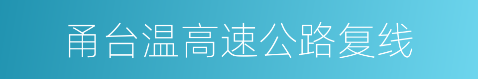 甬台温高速公路复线的同义词