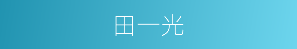 田一光的同义词