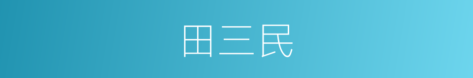 田三民的同义词