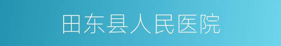 田东县人民医院的同义词