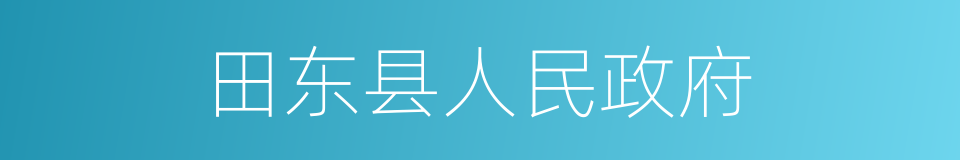 田东县人民政府的同义词