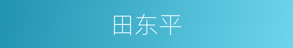 田东平的同义词
