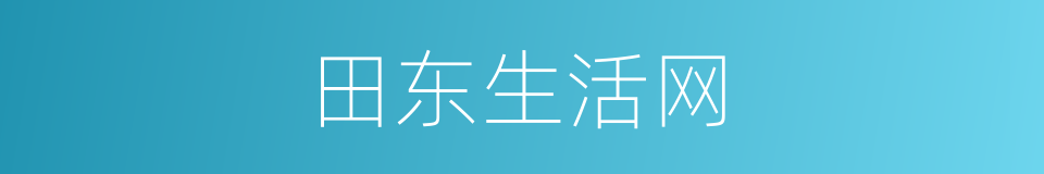 田东生活网的同义词