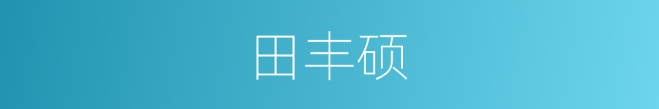 田丰硕的同义词