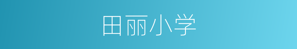 田丽小学的同义词
