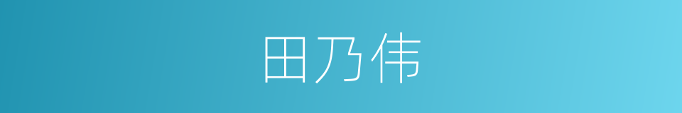 田乃伟的同义词