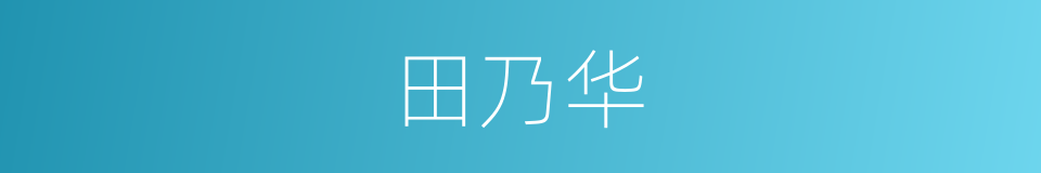 田乃华的同义词